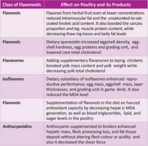 Dietary flavonoids and their effect on poultry and its products:

