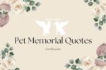 Dog Death Quotes to Remember Your Furry Friend