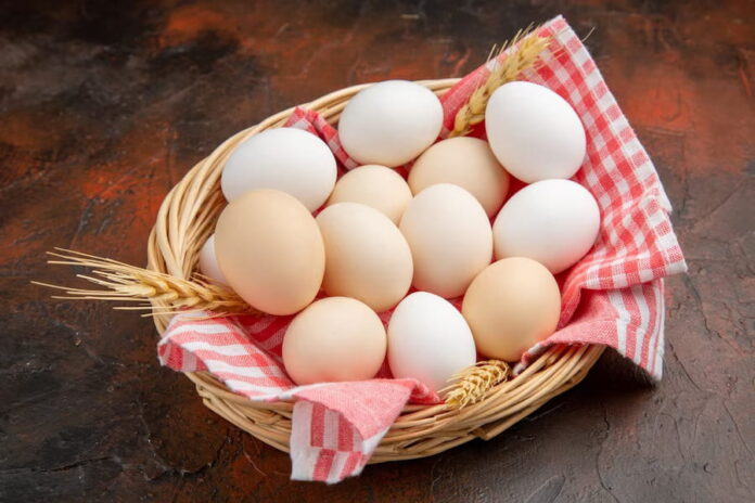 EGGS - A Real Basket for Healthy Nutrients