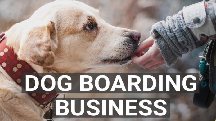 How to Start a Dog Daycare or Dog Boarding Business in India