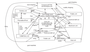 Input-output flow diagram of developed IFS Module