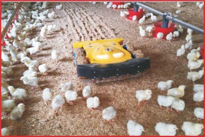 Artificial Intelligence in Poultry Industry : Prospects of Automation ...