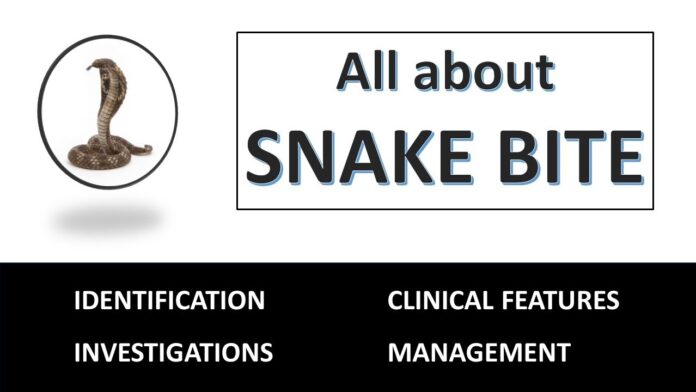 SNAKE BITE IN ANIMALS & THEIR TREATMENT PROTOCOLS