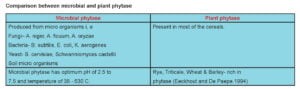 Sources and Activity of Phytase