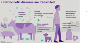 Transmission of zoonotic diseases