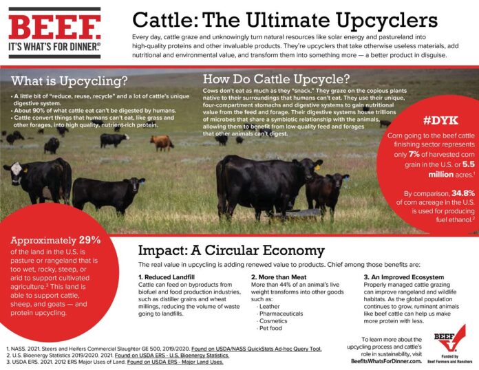 WHY ARE LIVESTOCK CALLED NATURAL UPCYCLERS
