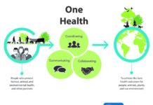 one health