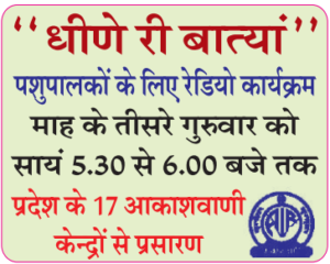 धीणे री बातां