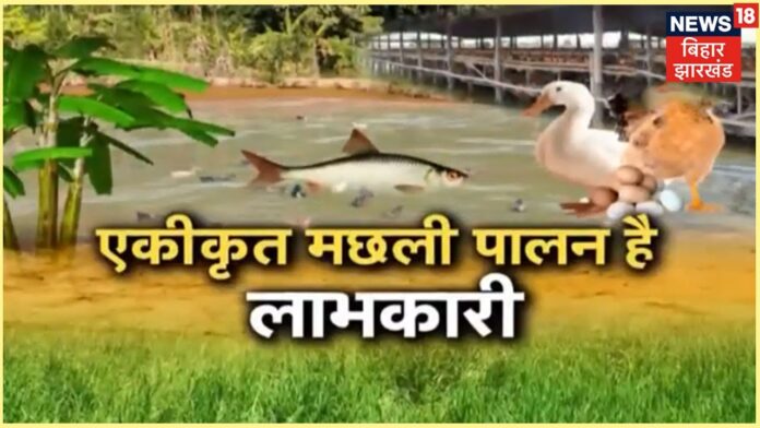 समेकित खेती समय की मांग