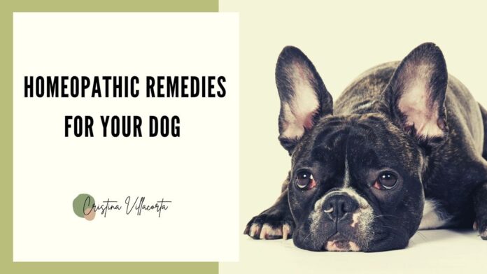 HOMEOPATHIC REMEDIES FOR VARIOUS HEALTH ISSUES IN DOGS & CATS