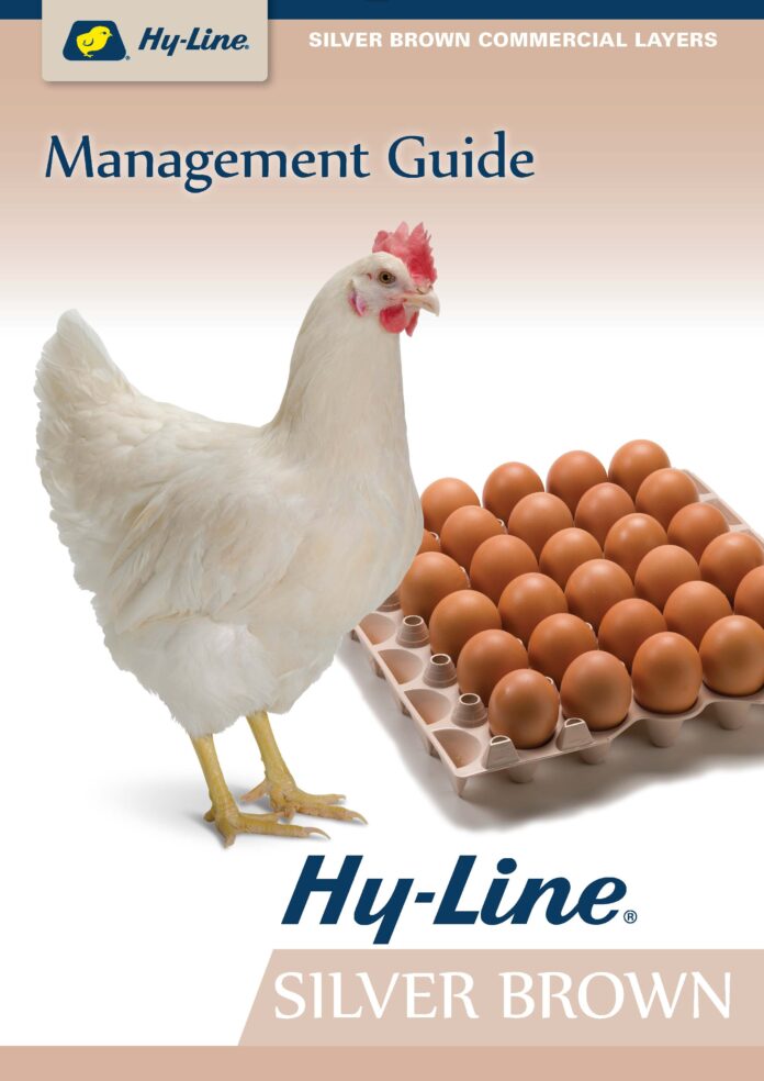 Hy-Line Brown Management Guide