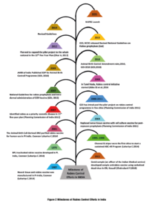 MILLSTONES OF RABIES CONTROL EFFECTS IN INDIA