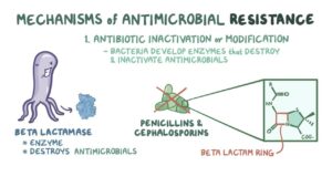Mechanism of antimicrobial resistance
