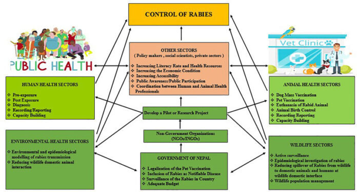 One-Health Approach: A Best Possible Way to Control Rabies