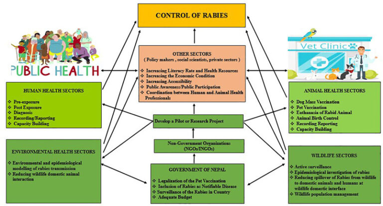 Gealth Control One-Health Approach: A Best Possible Way to Control Rabies - Pashudhan ...