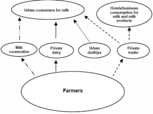Overview of dairy marketing channels in India