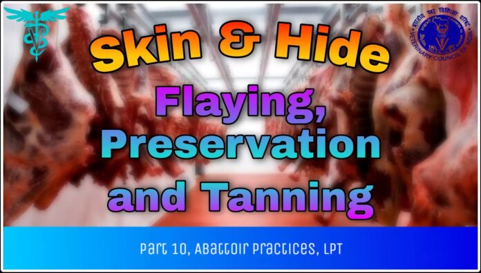 PROCEDURE FOR PRESERVATION OF HIDE AND SKIN