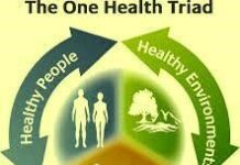 The All-in-One Health Programme