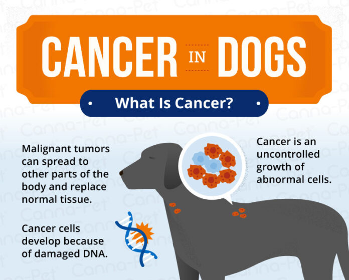 Tumors & Cancer in Dogs
