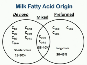 De Novo fatty acid