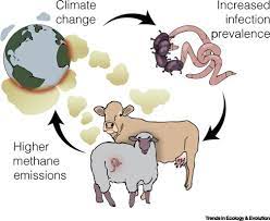 Effect of climate on Livestock Performance Effect of climate on Livestock Performance