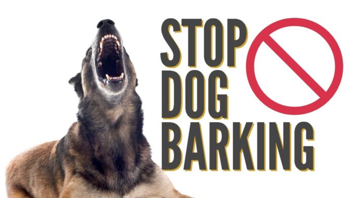 How to Stop Puppy Barking