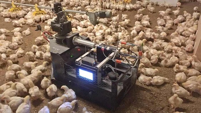 Innovative Technology & Practices Transforming India’s Poultry