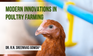  Innovative Technology & Practices Transforming India’s Poultry Farming Sector
