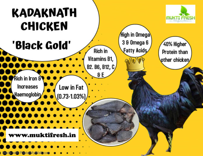 KADAKNATH : THE ‘BLACK GOLD’