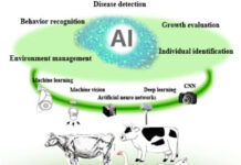 The Impact of Artificial Intelligence in Dairy, Poultry & Pets Disease Diagnosis