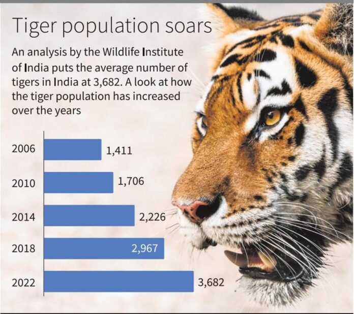 Tiger Census