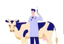 ON-FARM POST-MORTEMS TECHNIQUES - A GUIDE FOR VETERINARY SURGEONS