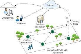 WSN (Wireless Sensor Network)