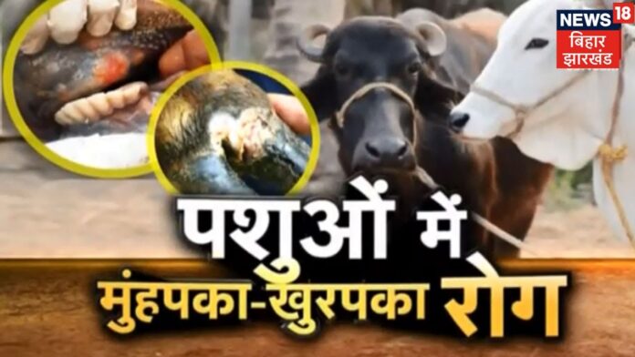 खुरपका-मुँहपका रोग एवं बचाव