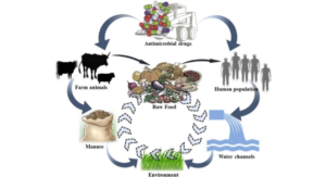 Antibiotic Resistance