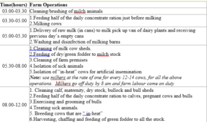 Daily farm routine or day-to-day operation in an ideal dairy farm