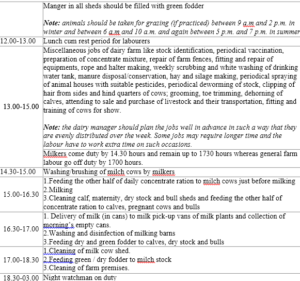 Daily farm routine or day-to-day operation in an ideal dairy farm