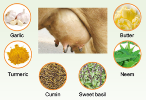 Ethno-veterinary Formulations 