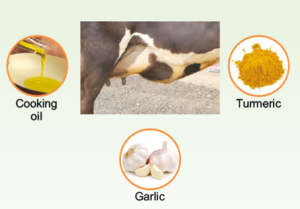 Ethno-veterinary Formulations 