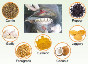 Ethno-veterinary Formulations 