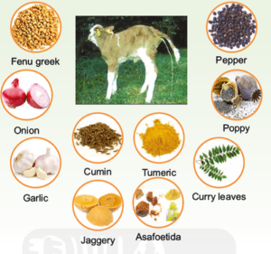 Ethno-veterinary Formulations 