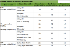 Feeding allowances