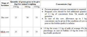 Feeding dairy cow at different stages of lactation