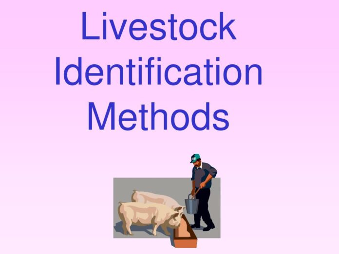  Identification of Farm Animals and Its Importance
