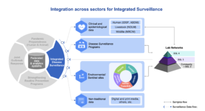 Integration across sectors for Integrated Surveillance