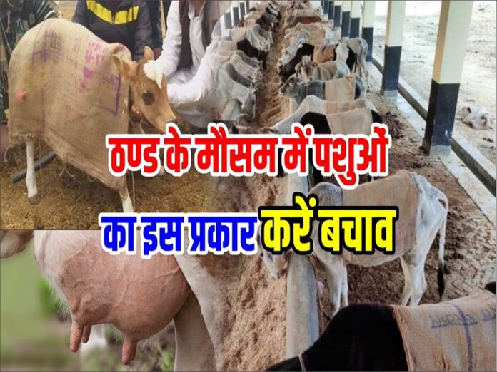 Major Winter Disease of Animals