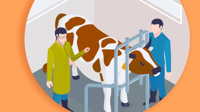 Role of Veterinarian for the Prosperity of Livestock Farmers