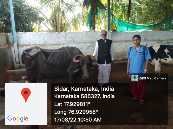 VETERINARY PROFESSION