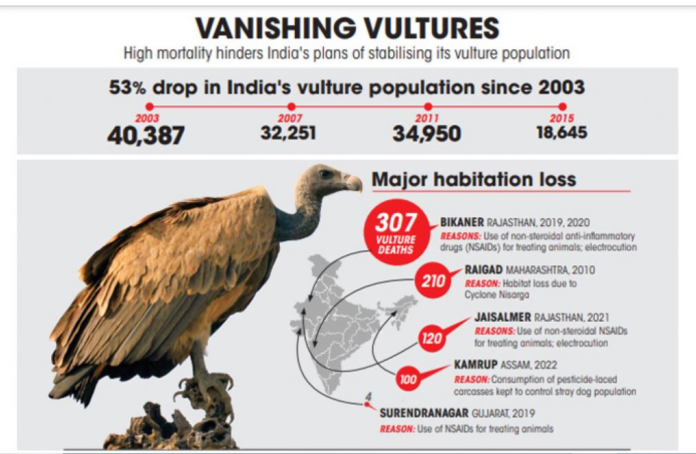 Vanishing India’s Vultures Population