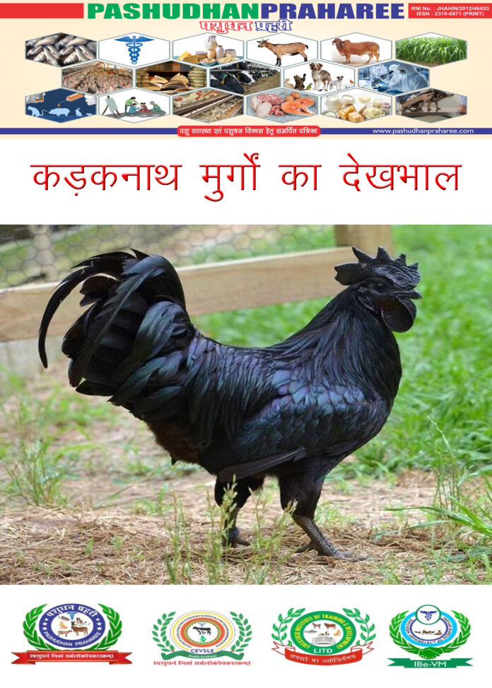 CARE AND MANAGEMENT OF KADAKNATH POULTRY BIRDS-HINDI